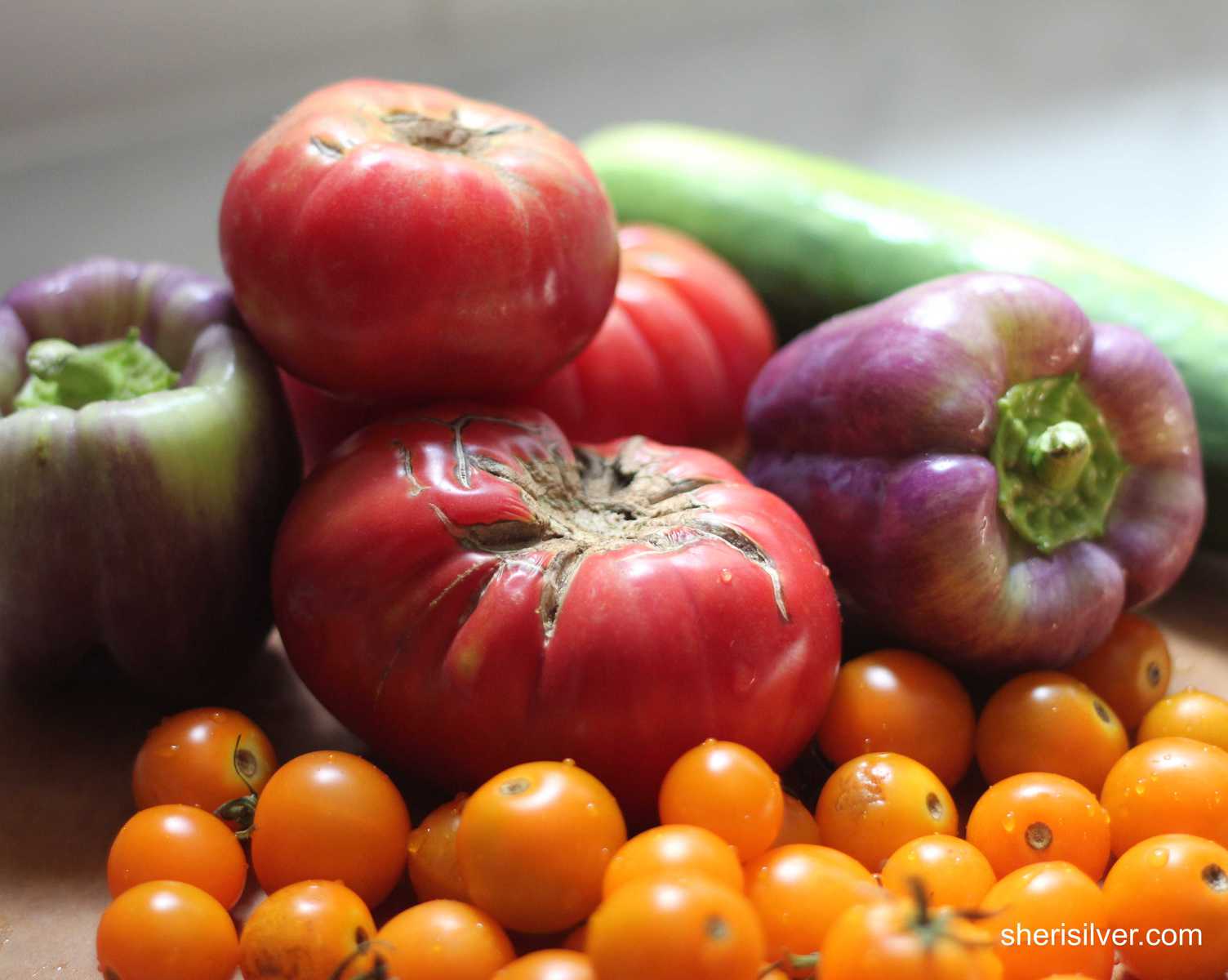 assorted tomatoes