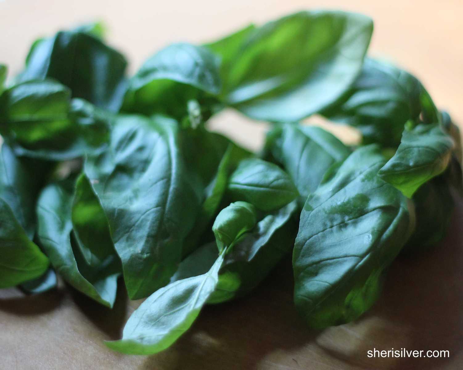 basil leaves