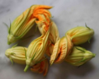 fried zucchini blossoms