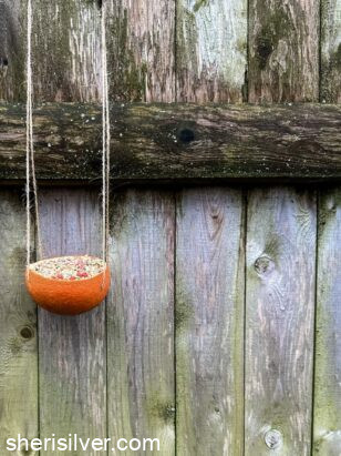 orange bird feeder on a wooden fence