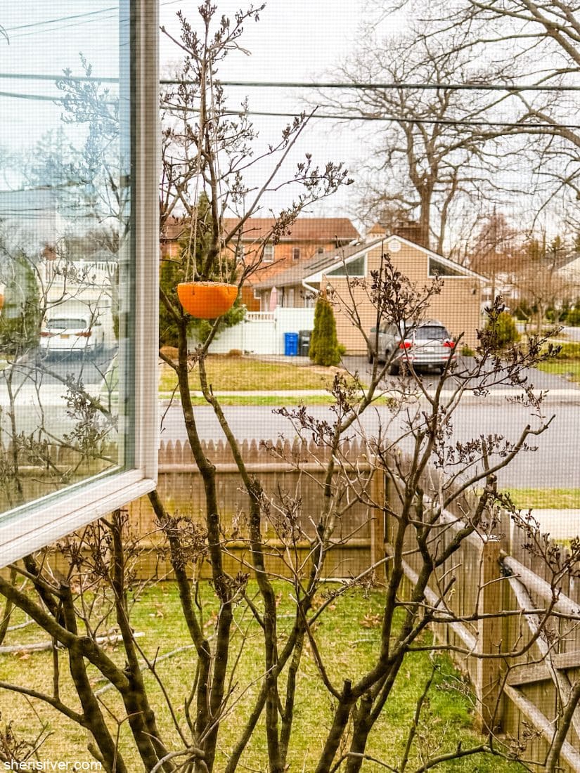 orange bird feeder hanging from branches as viewed through a window
