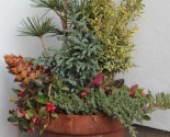 winter containers