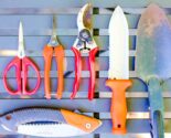 garden tools on table