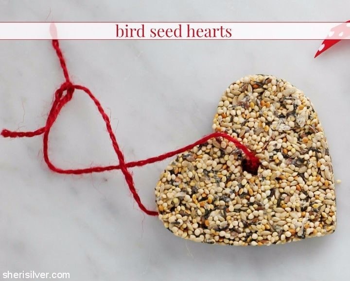bird seed hearts