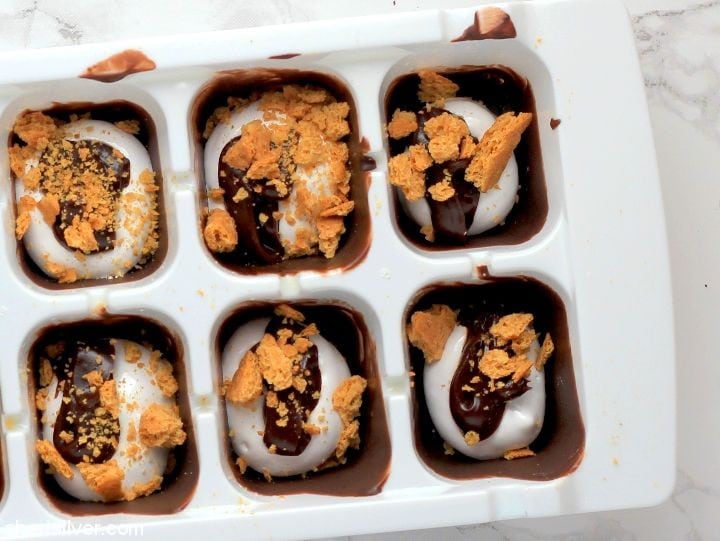 Ice Cube Tray to Freeze Cookie Dough