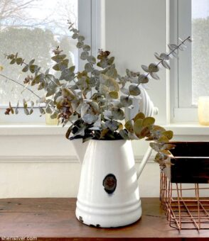 preserved eucalyptus in vintage enamel pitcher