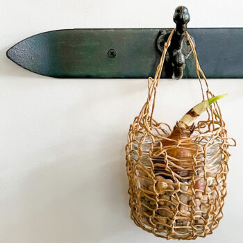 floral wire basket with paperwhite on a metal hook