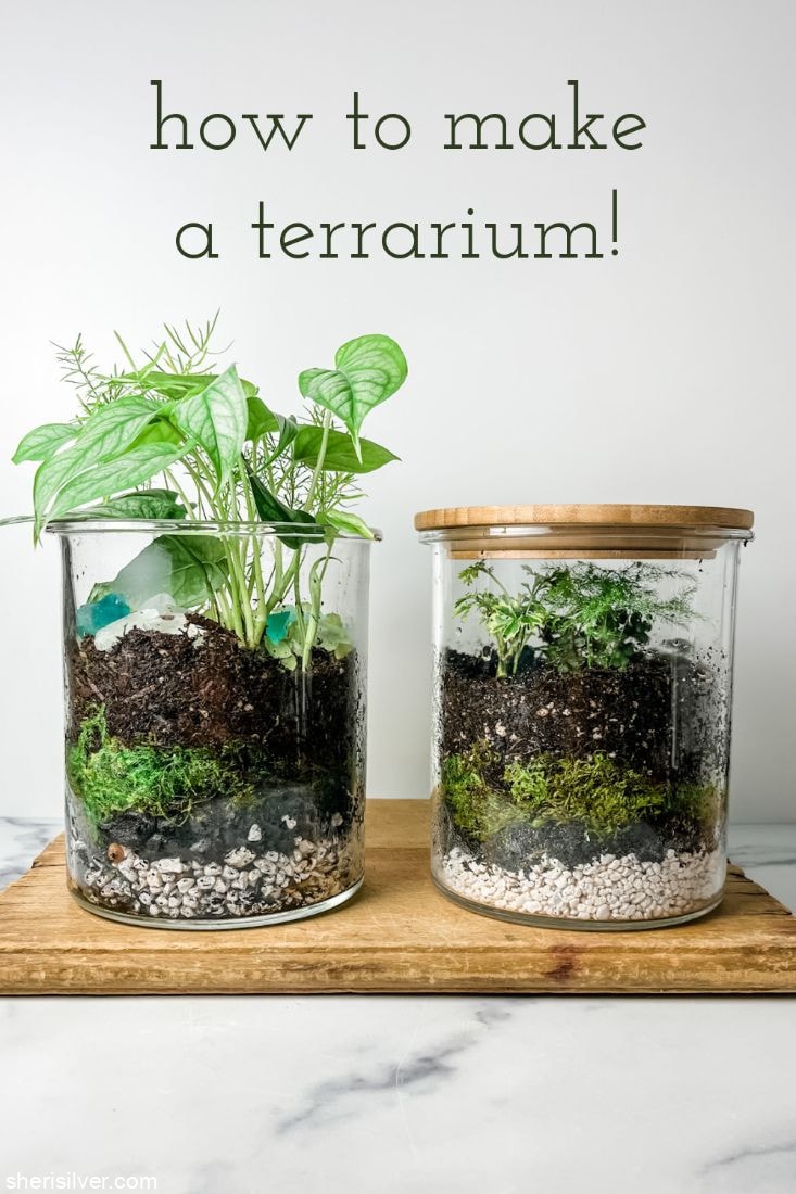 Easy DIY Terrariums with Gathered Sea Shells, Pebbles, Sea Glass