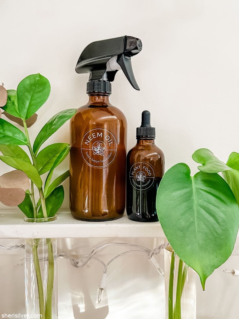 happy happy houseplant products