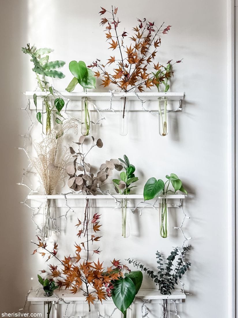 propagation wall with test tubes and plants