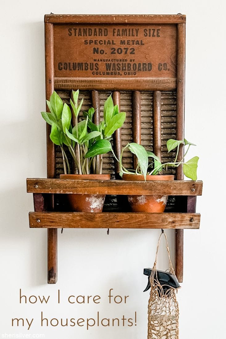 plants in terra cotta pots in an antique washboard