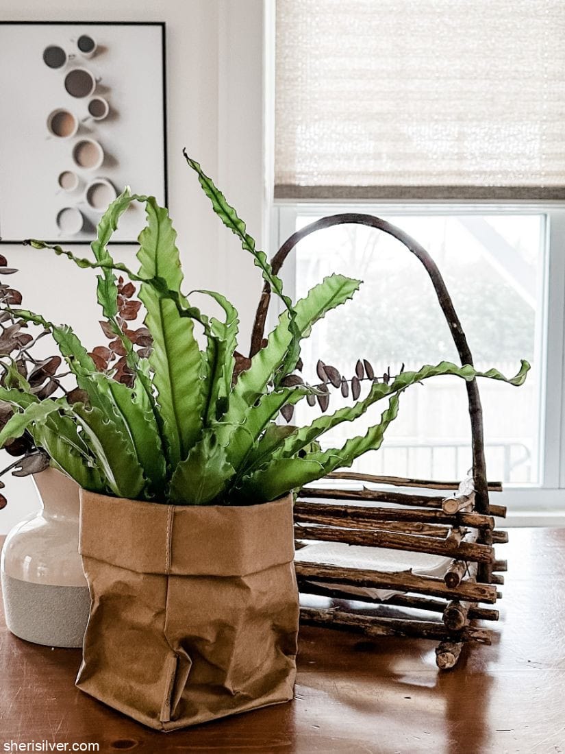plant in a paper bag planter on a wooden table