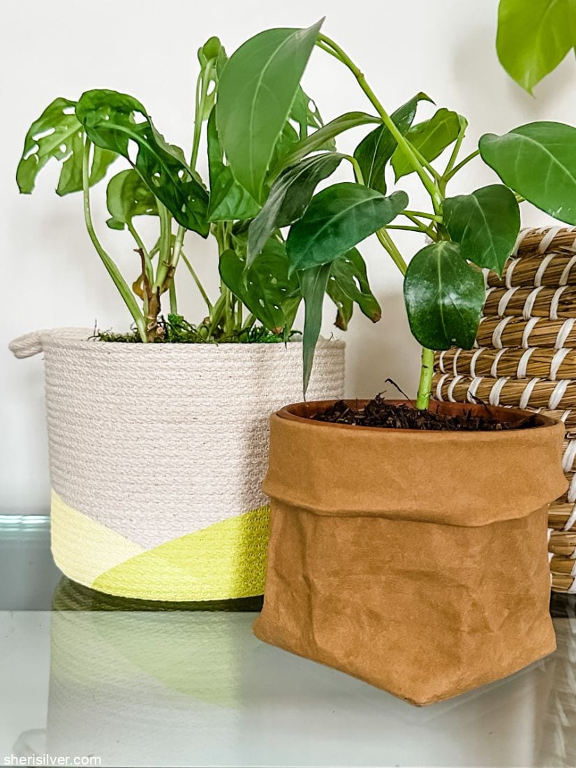 plants in baskets on a glass console table