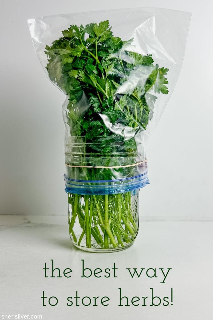italian parsley in a mason jar covered with a ziploc bag