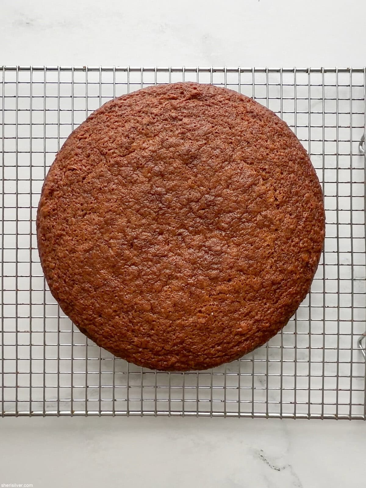 Unfrosted carrot snacking cake cooling on a wire rack, showing golden-brown top and round shape